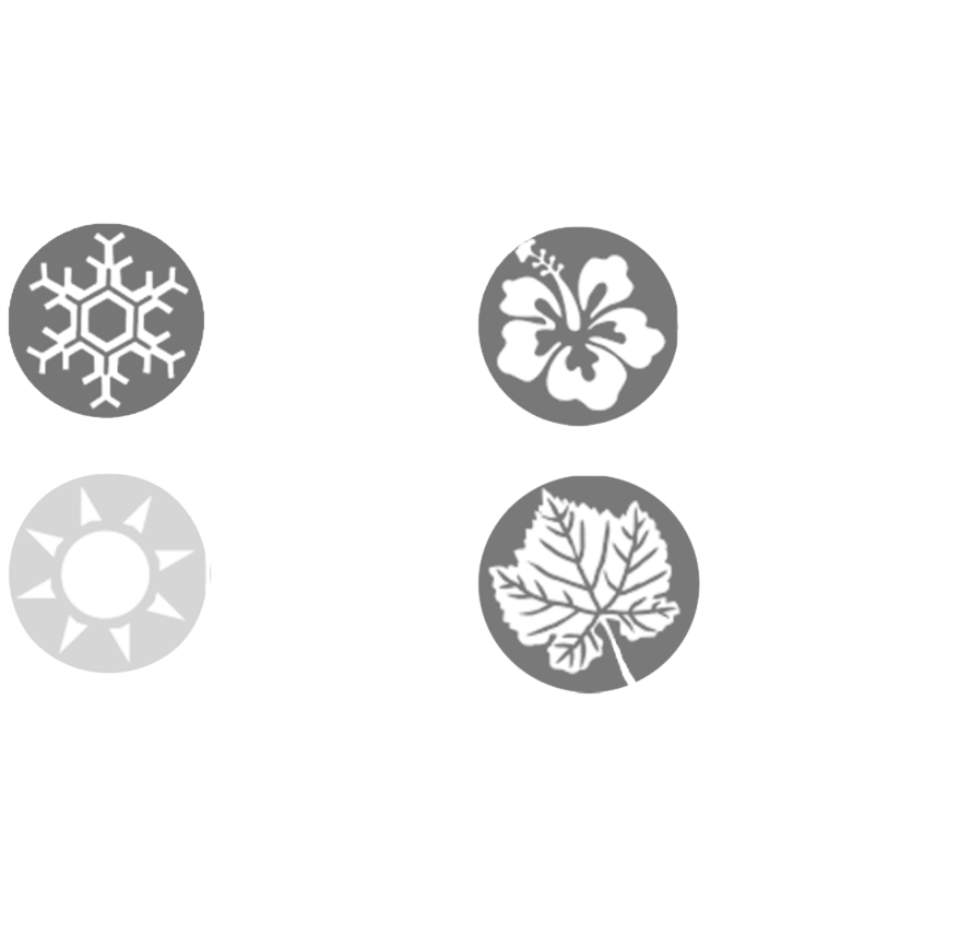 Заголовок