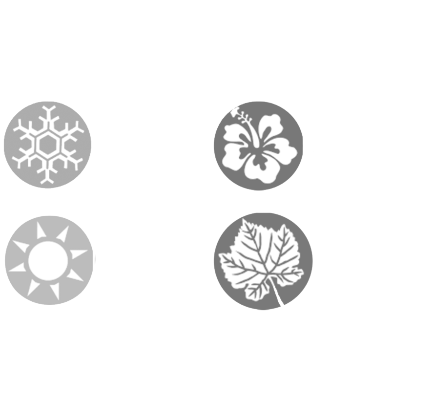 Заголовок