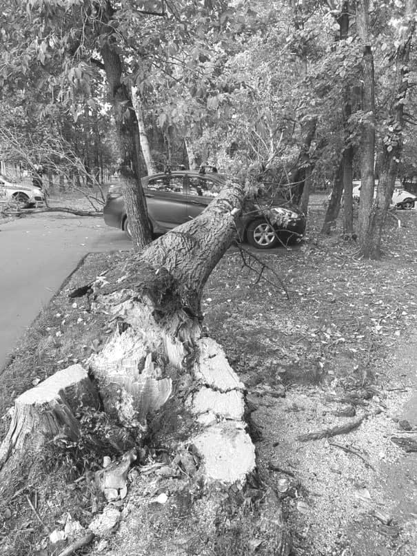 Система динамической стабилизации 